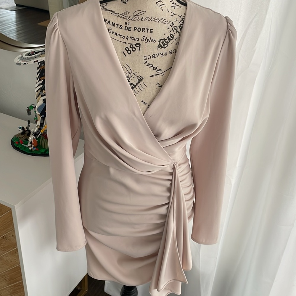 Babaton Encore Ruched Dress - Picture 5 of 10